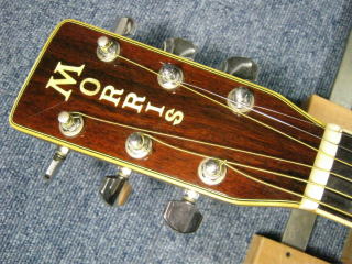 Morris（モーリス）アコスティックギター W-40