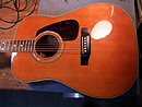 Morris Guitar