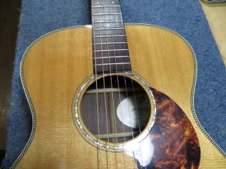 Breedlove Guitar